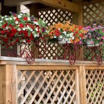 Front porch flowers